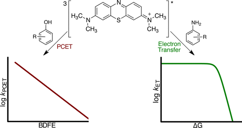 Photooxidation of anilines and phenols: Two distinct mechanisms
